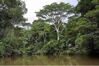 《波斯王子：Rouge》新视频解释其叙事和时空旅行